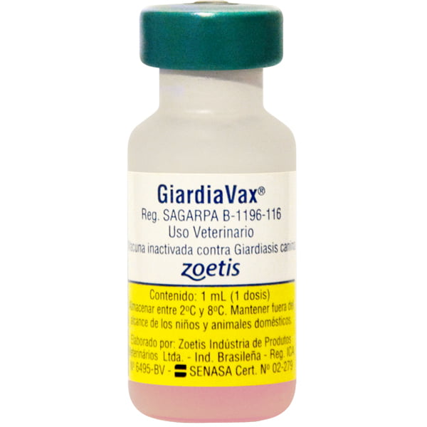 giardia vax vacina
